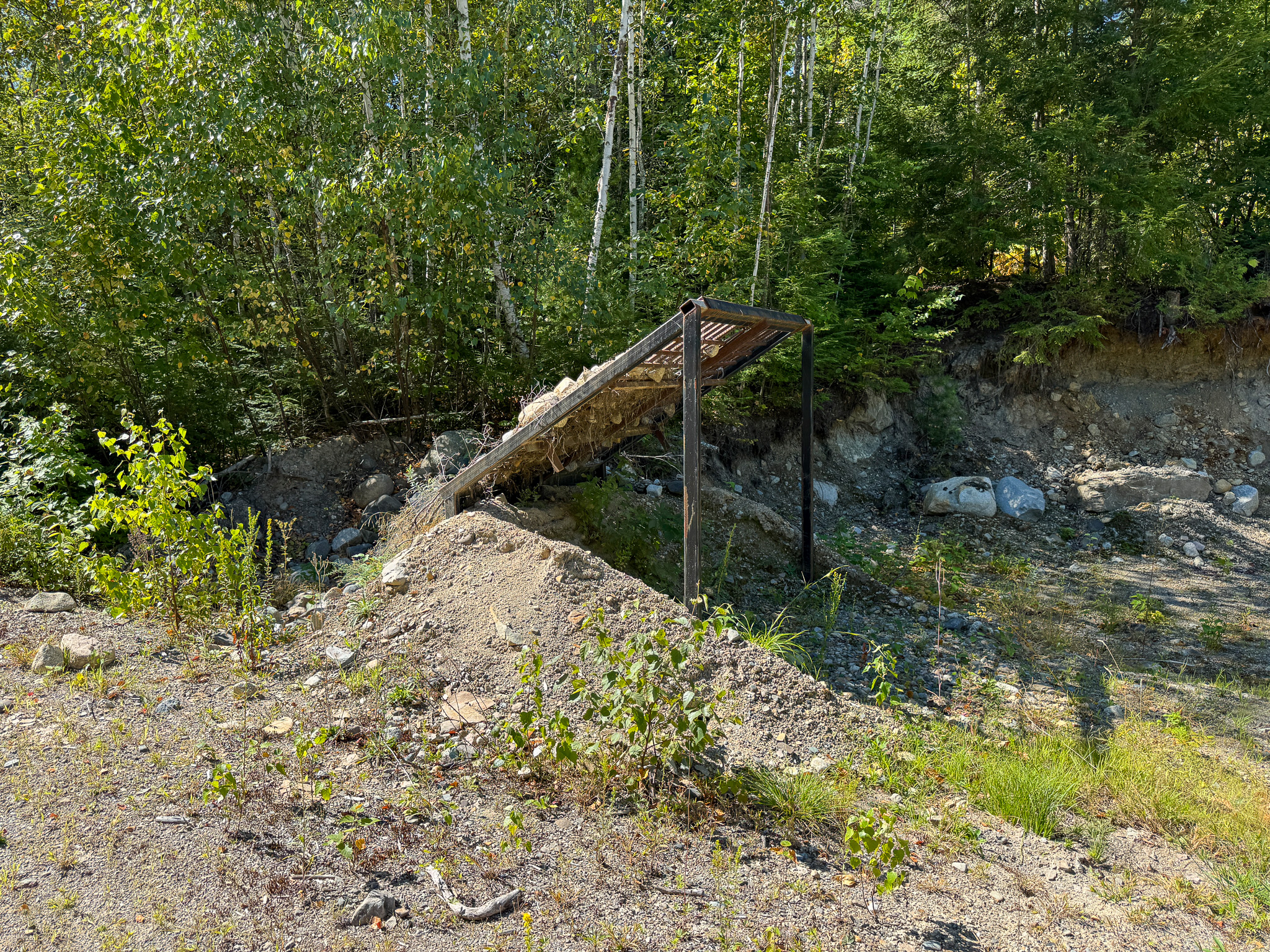 516 Acres Bordering State Wildlife Management Area