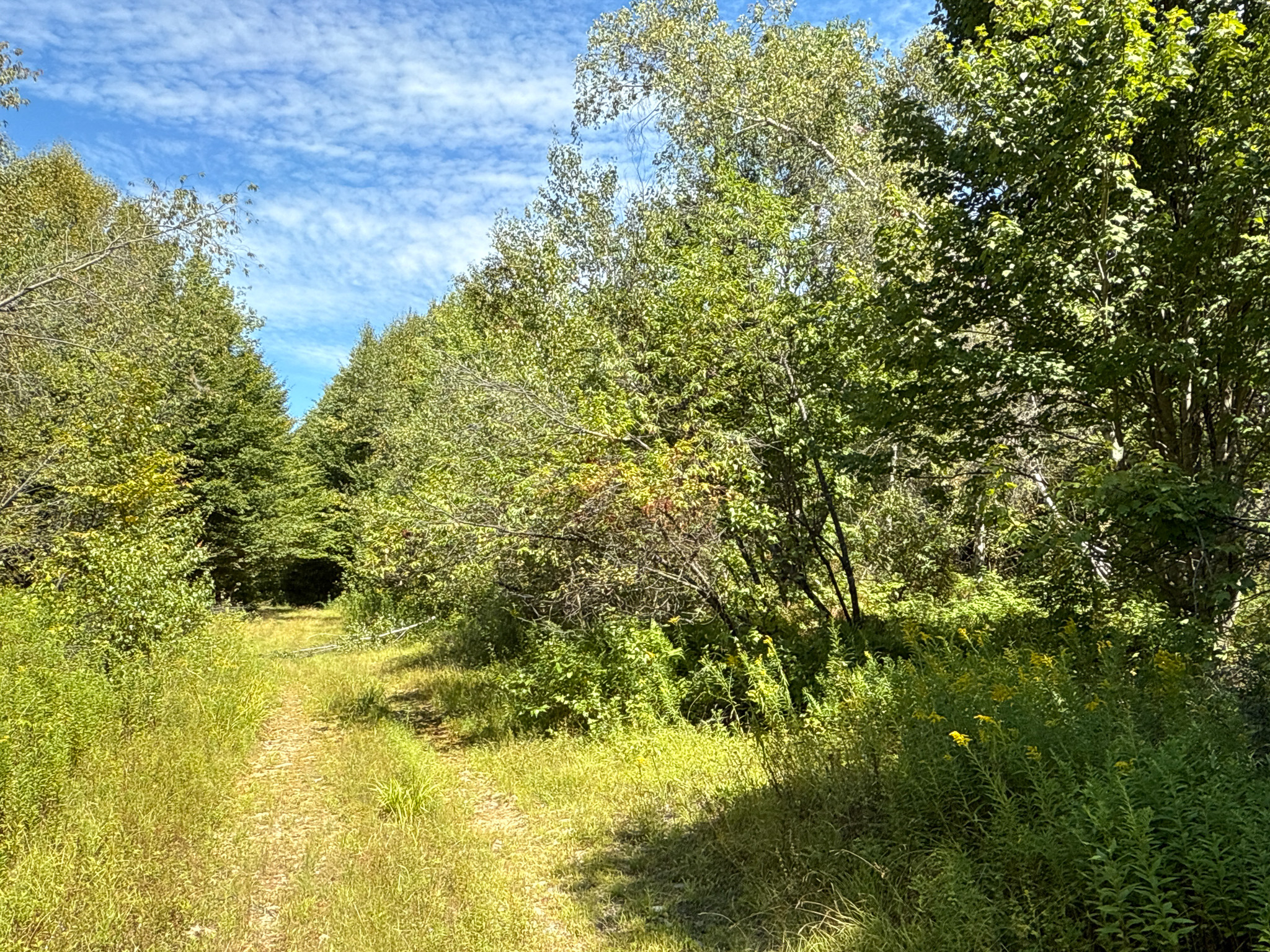 Private 25-Acre Woodlot with Trails & Recreation Access