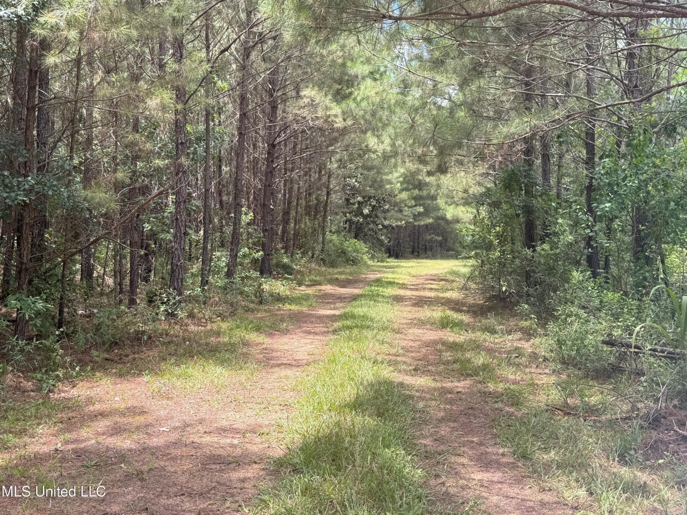 148 Acre Timberland Hunting Homesite Lincoln County, MS