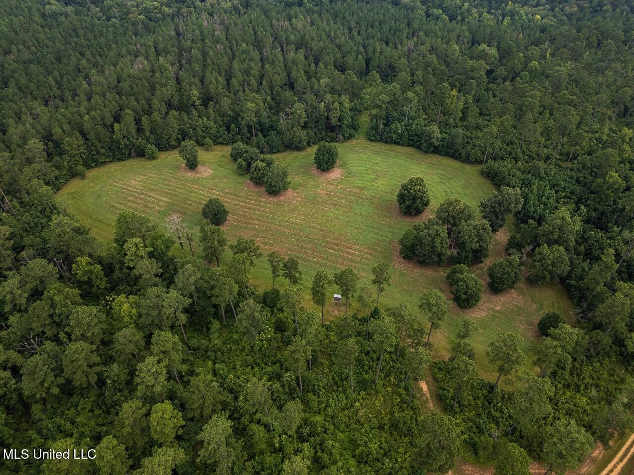 Petit Amite – Luxury Hunting Retreat in Amite County, MS