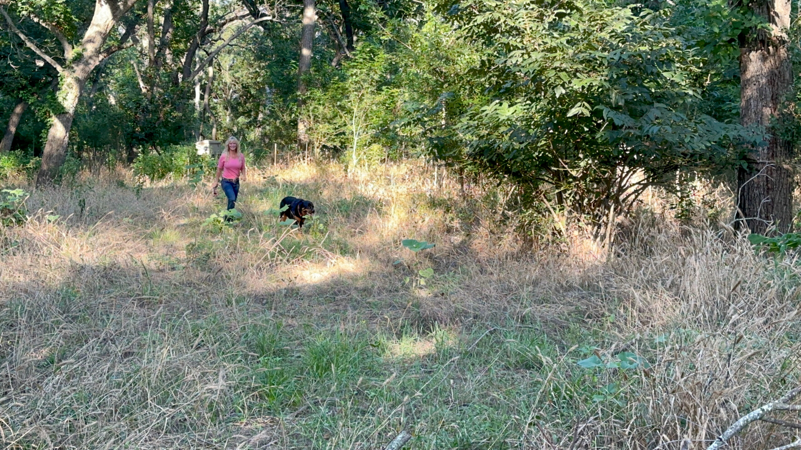 23.866 Acres of Riverfront Land for Sale in Coryell County, Texas