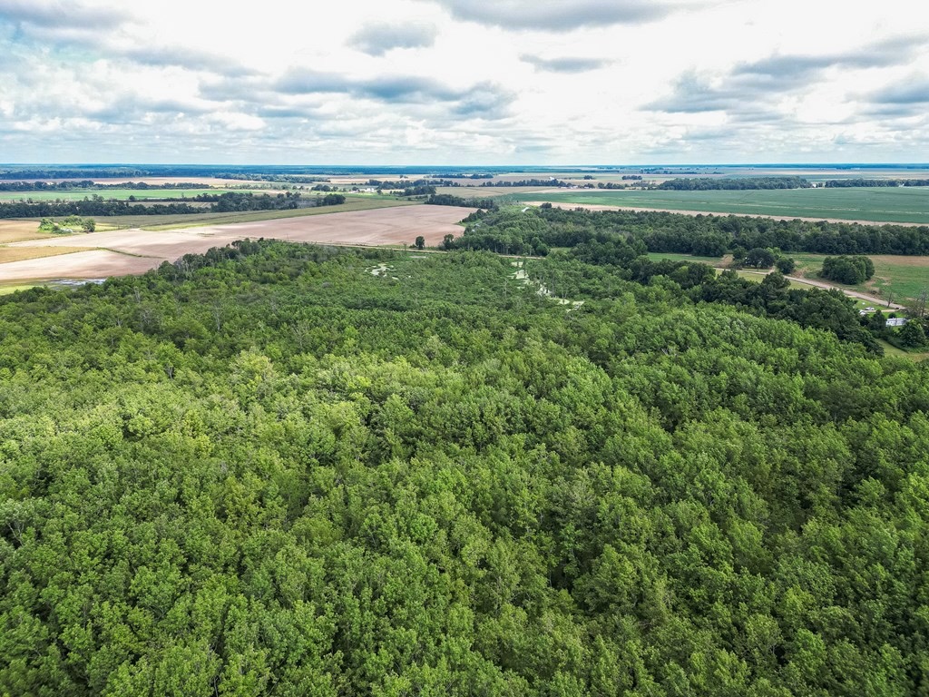 Tchula MS Delta 97 Acres