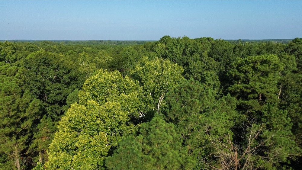 Affordable Multi-Use Recreational Tract