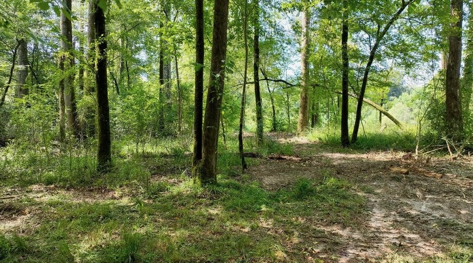 345+- Acres on Bogue Chitto River Summit MS
