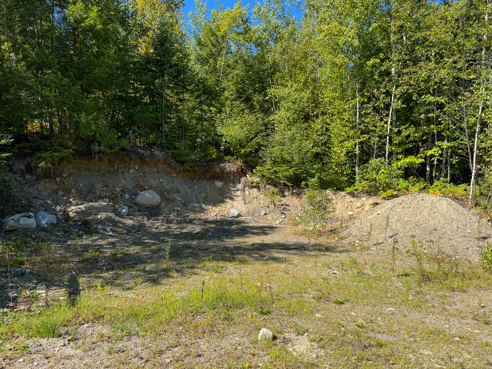 516 Acres Bordering State Wildlife Management Area