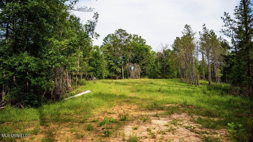 Catahoula Parish 290 Acres Hunting and Income Property