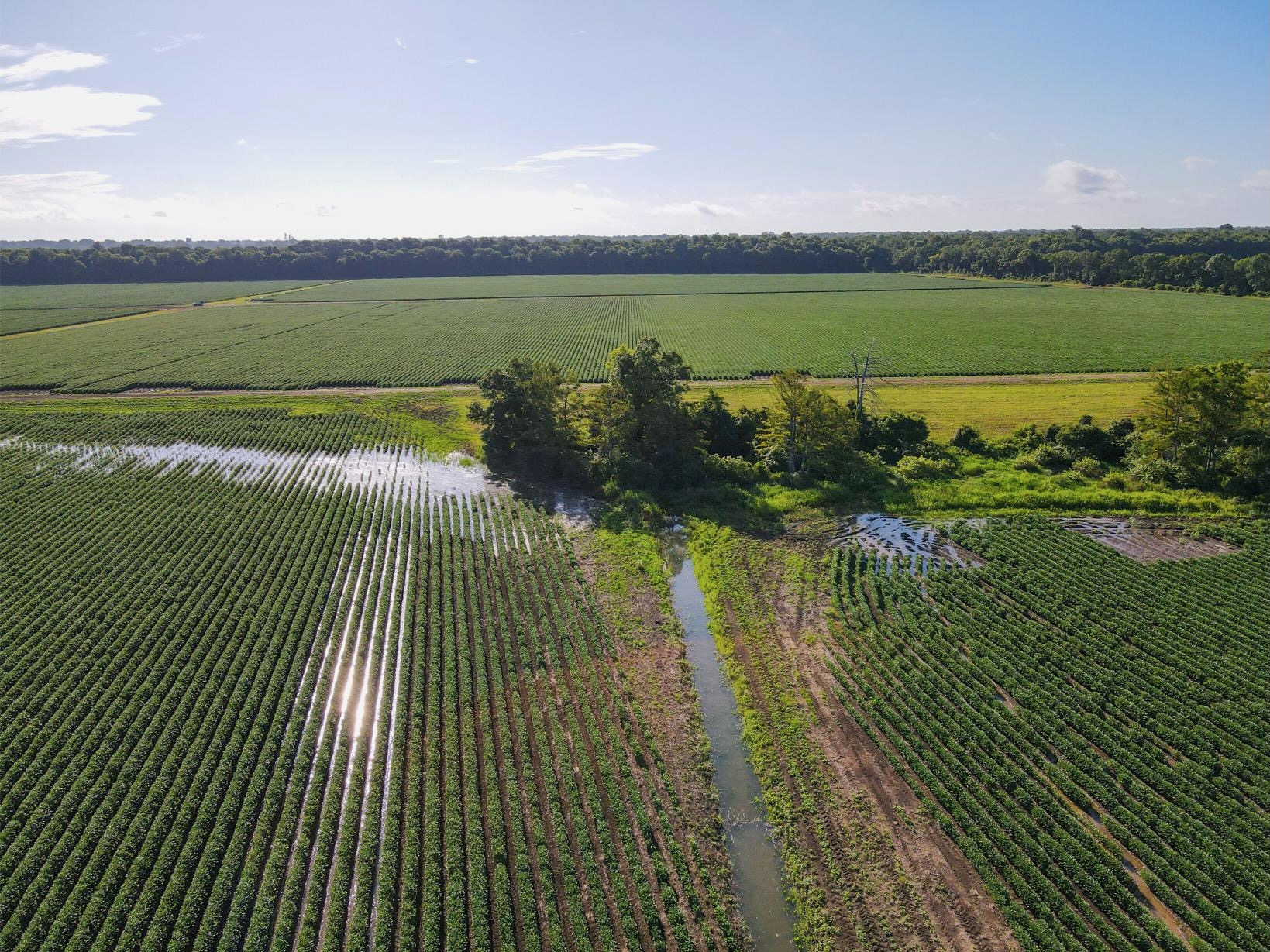 500 +/- Acres Precision Leveled and Irrigated Farmland