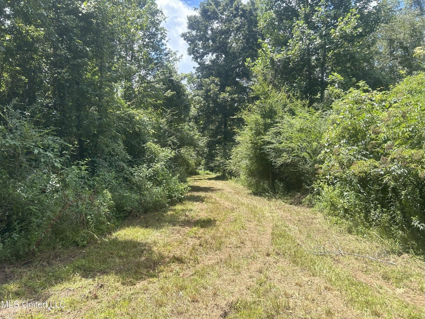 148 Acre Timberland Hunting Homesite Lincoln County, MS