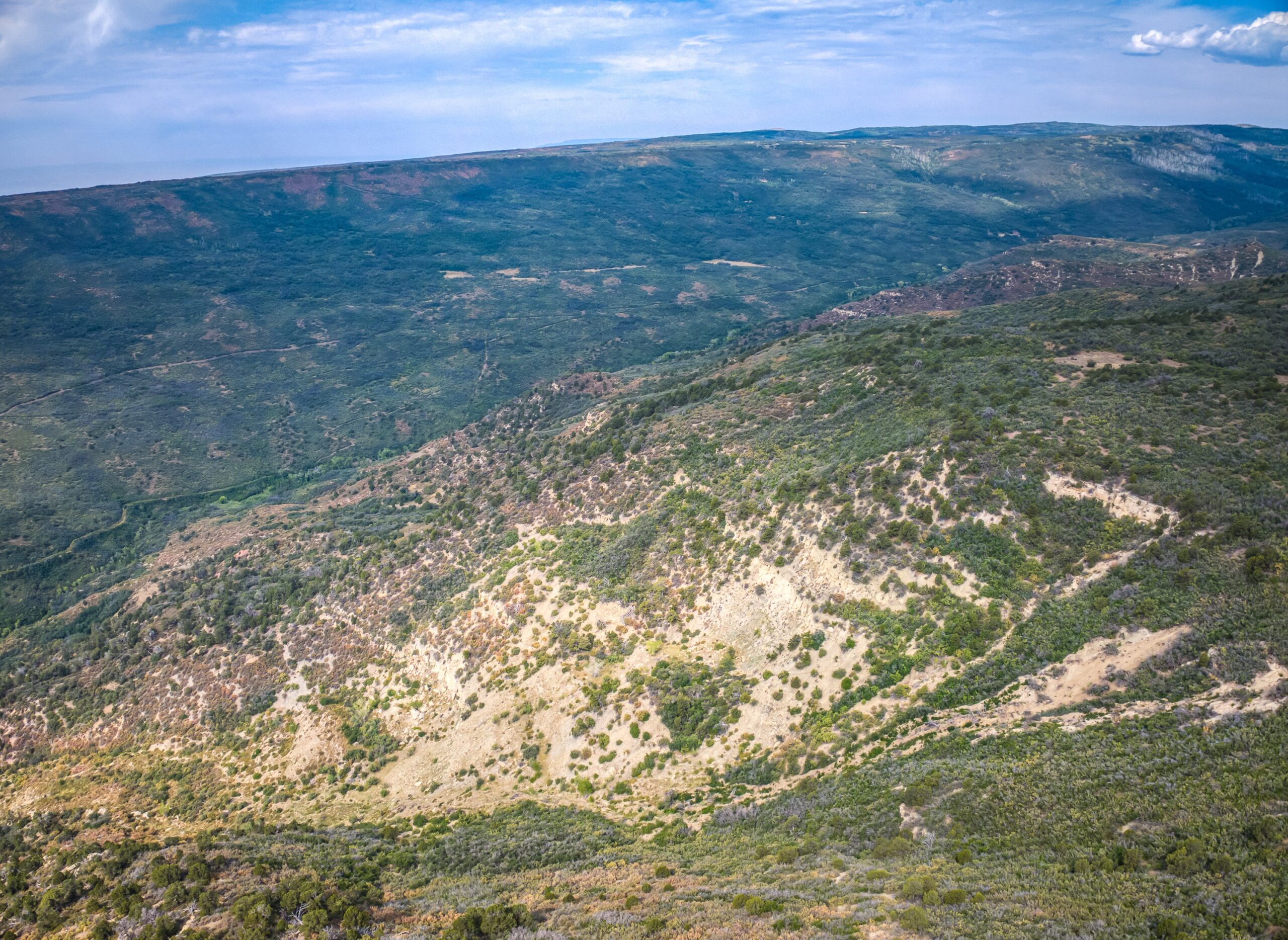 Whiskey Jug Ranch 465 Acre CO Hunting And Recreation Property With Cabin