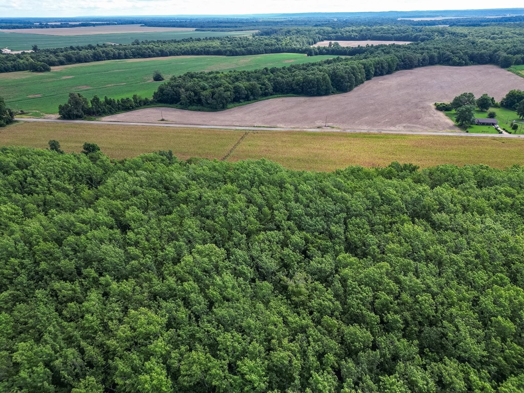 Tchula MS Delta 97 Acres