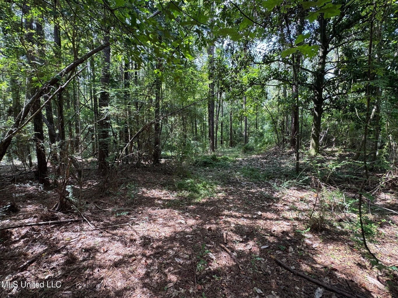 38 acres in Mississippi Near Louisiana State Line