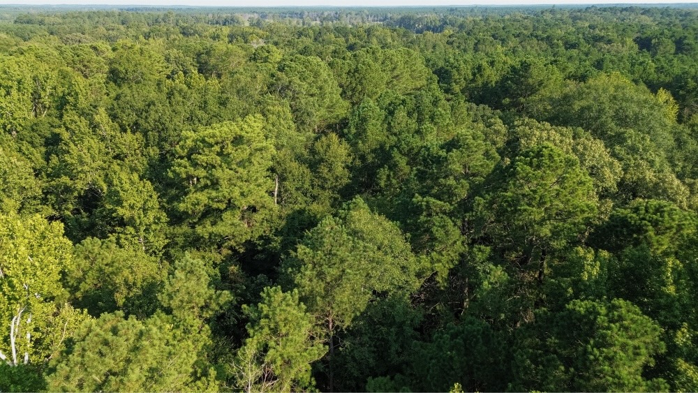 Affordable Multi-Use Recreational Tract
