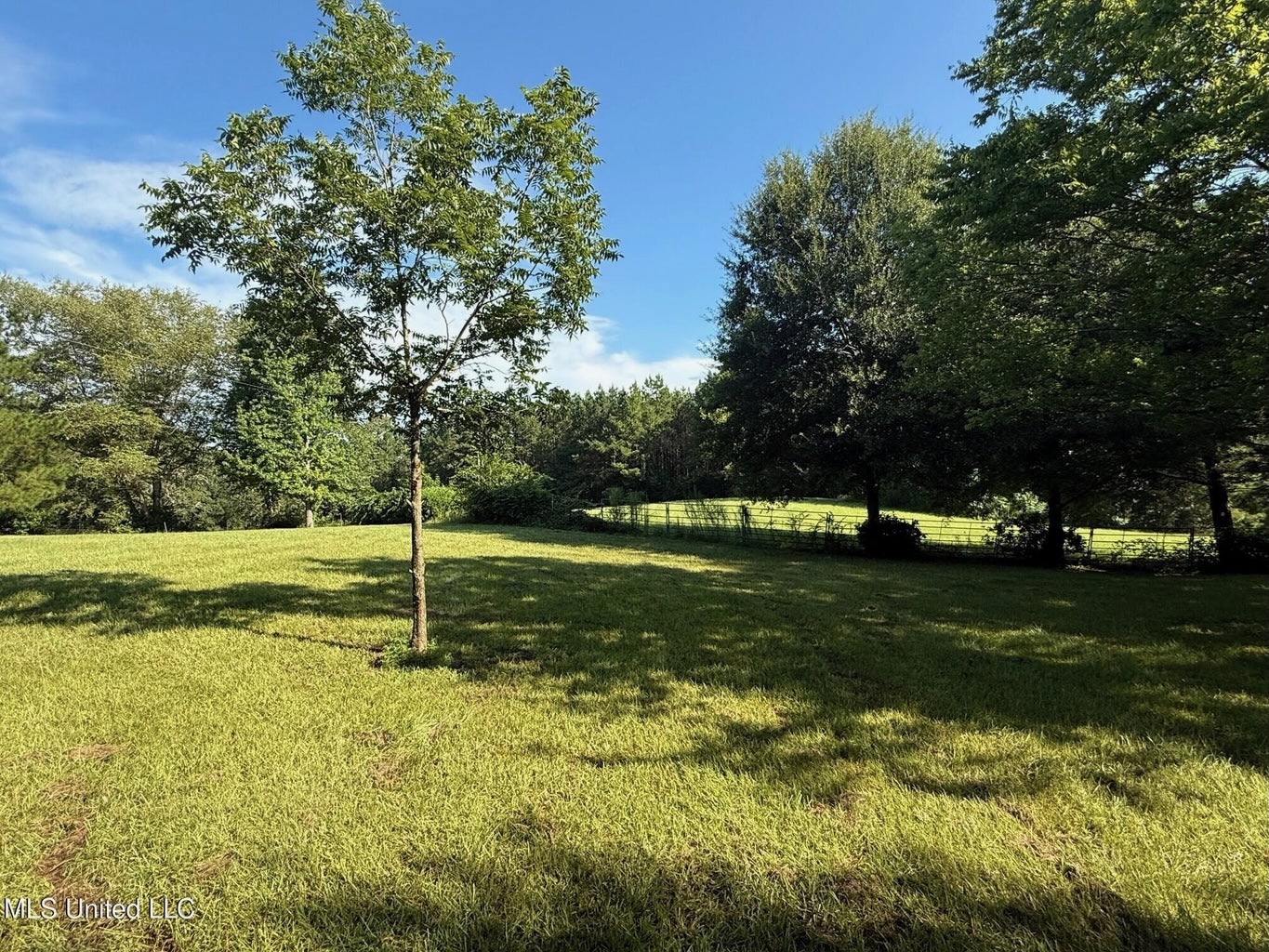 40 Acres with Country Home for Sale in Pike County MS
