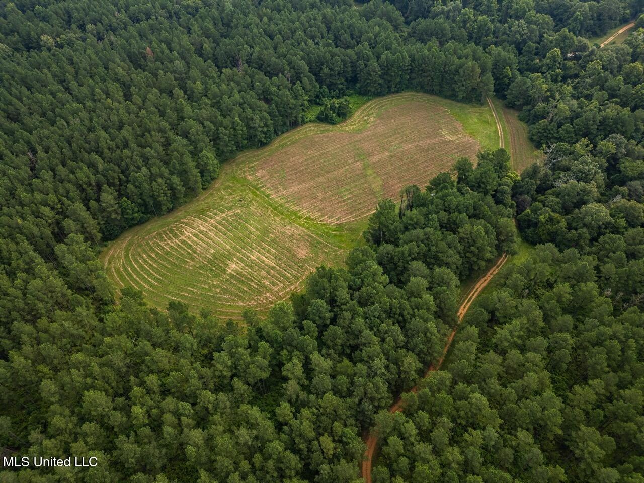 Petit Amite – Luxury Hunting Retreat in Amite County, MS
