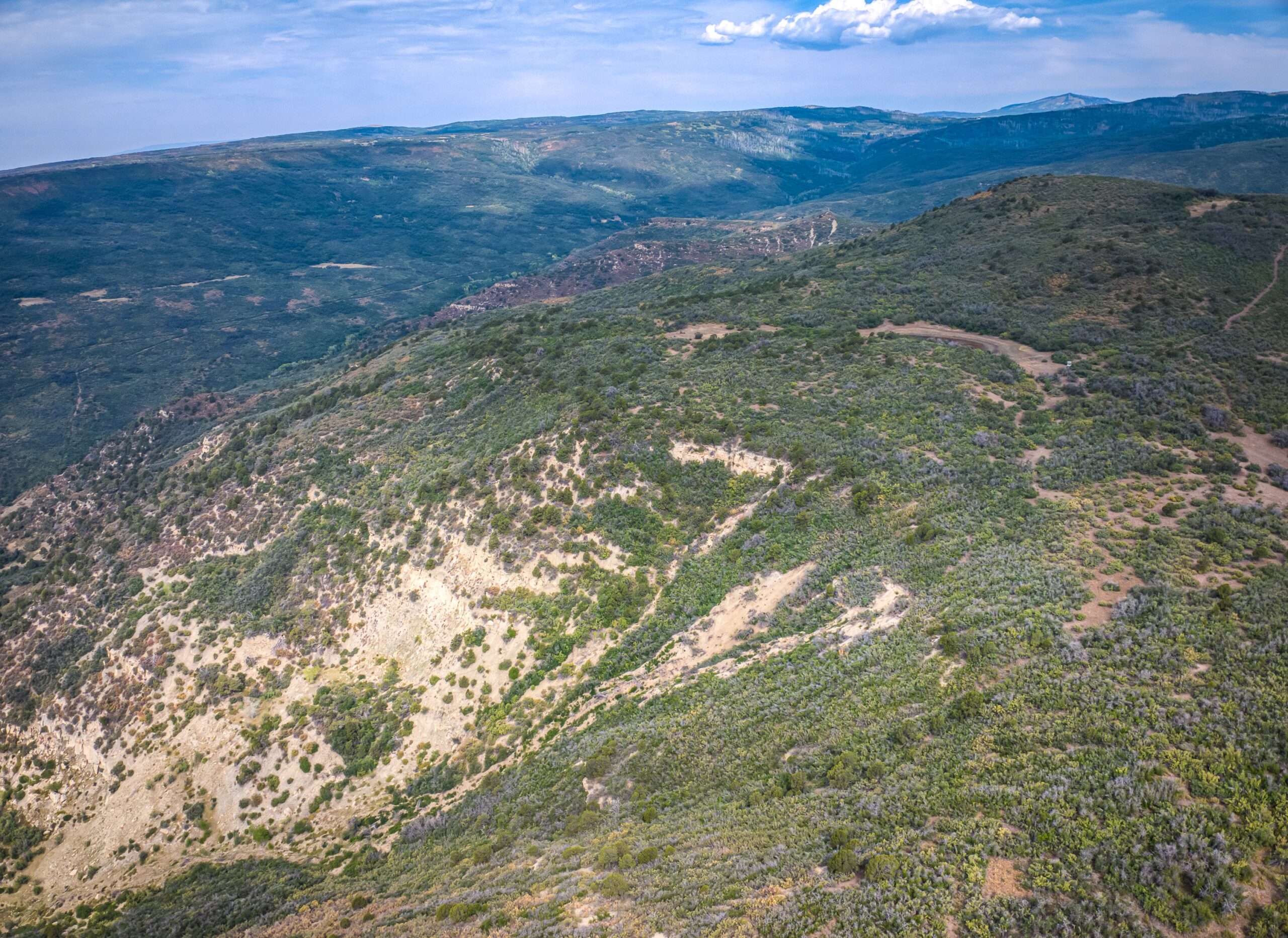 Whiskey Jug Ranch 465 Acre CO Hunting And Recreation Property With Cabin