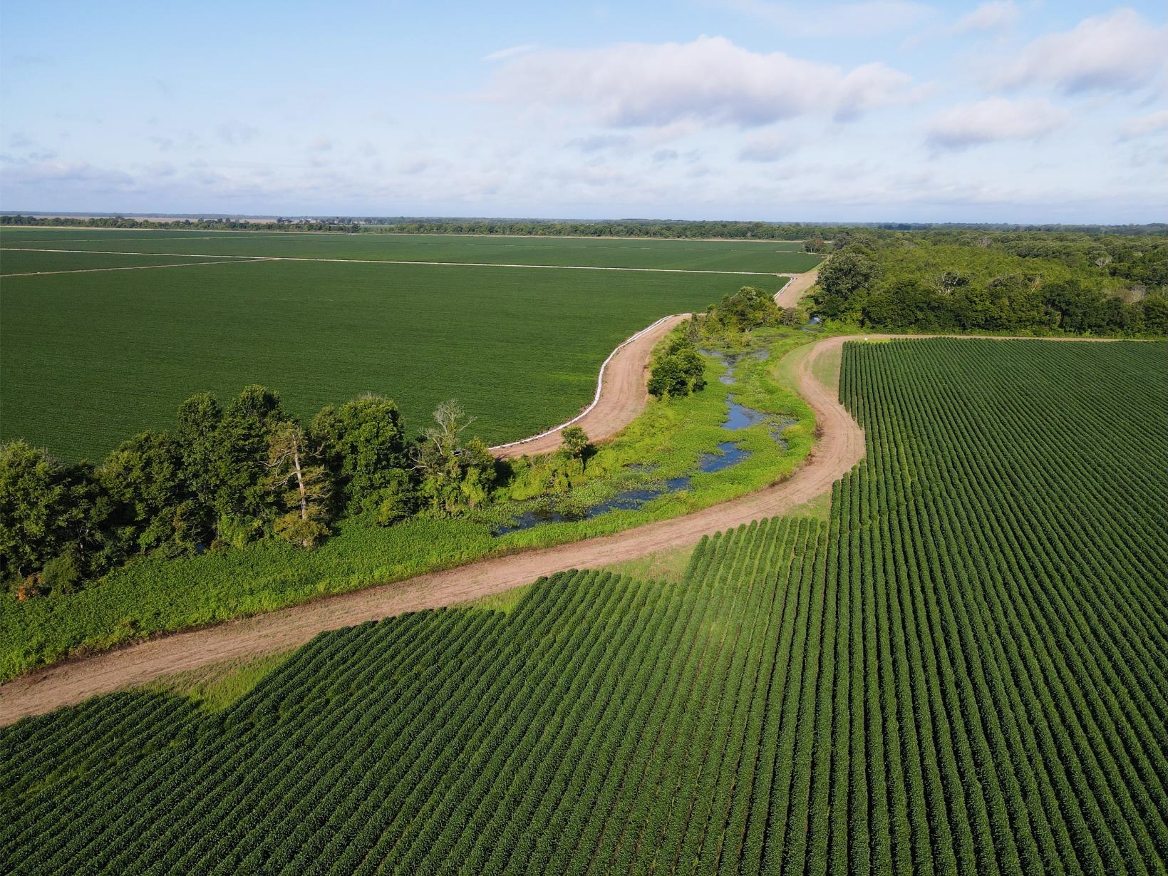 500 +/- Acres Precision Leveled and Irrigated Farmland
