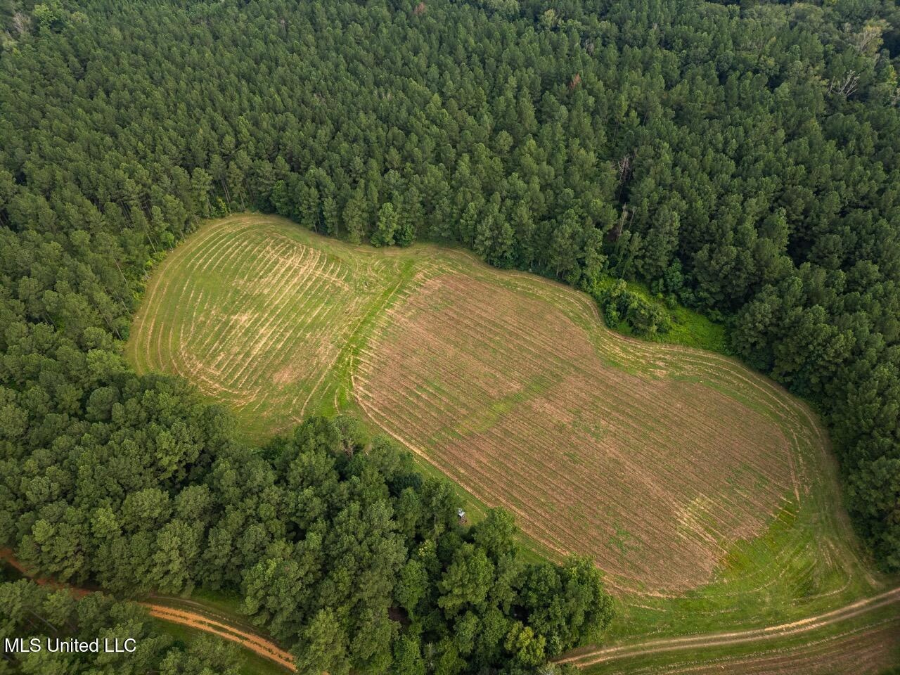 Petit Amite – Luxury Hunting Retreat in Amite County, MS
