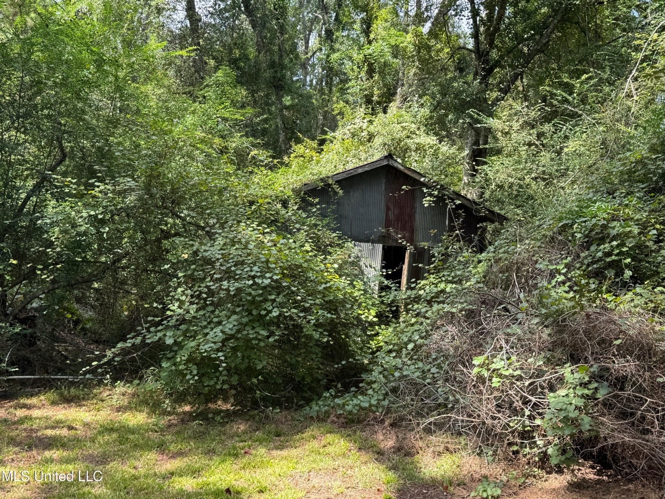 38 acres in Mississippi Near Louisiana State Line