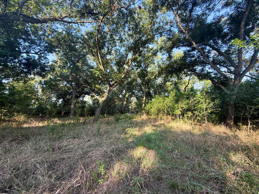 23.866 Acres of Riverfront Land for Sale in Coryell County, Texas