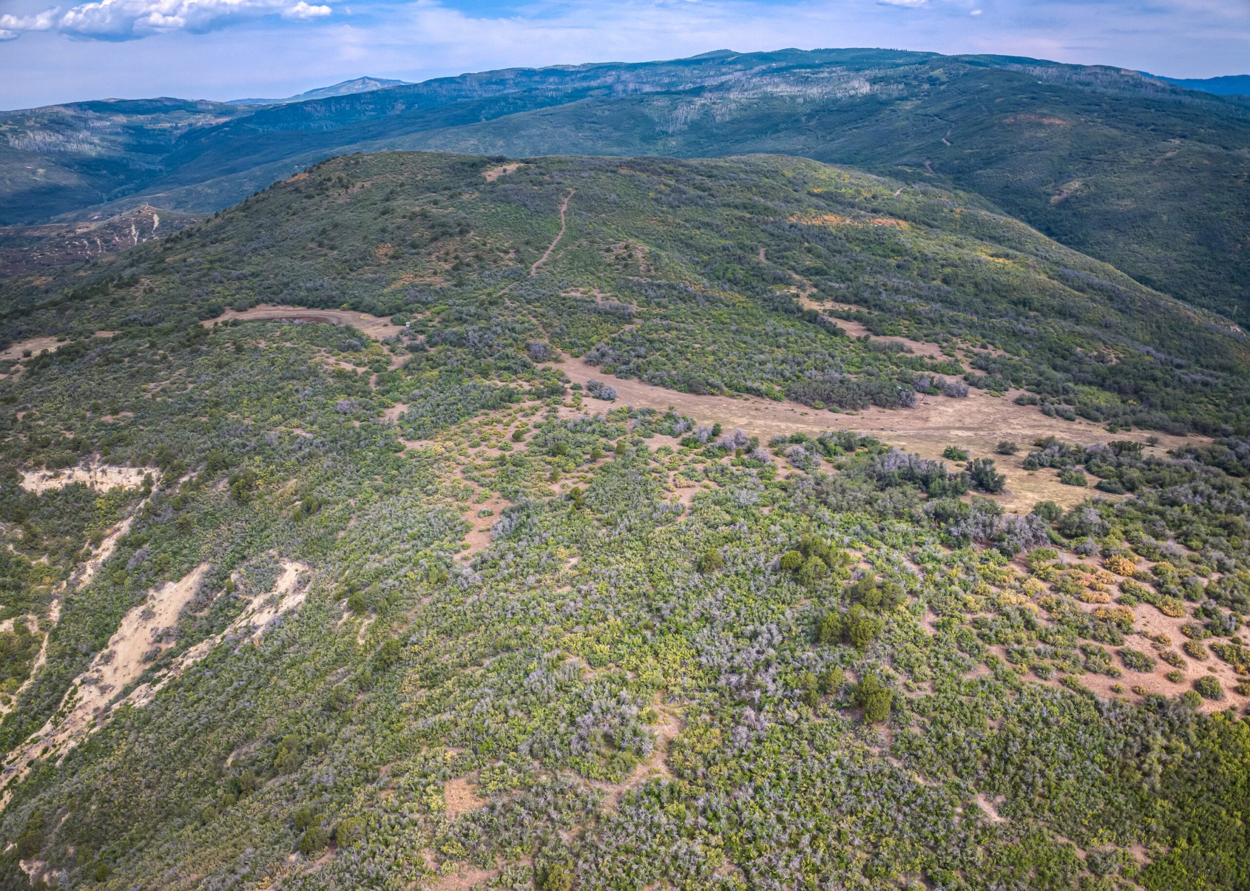Whiskey Jug Ranch 465 Acre CO Hunting And Recreation Property With Cabin