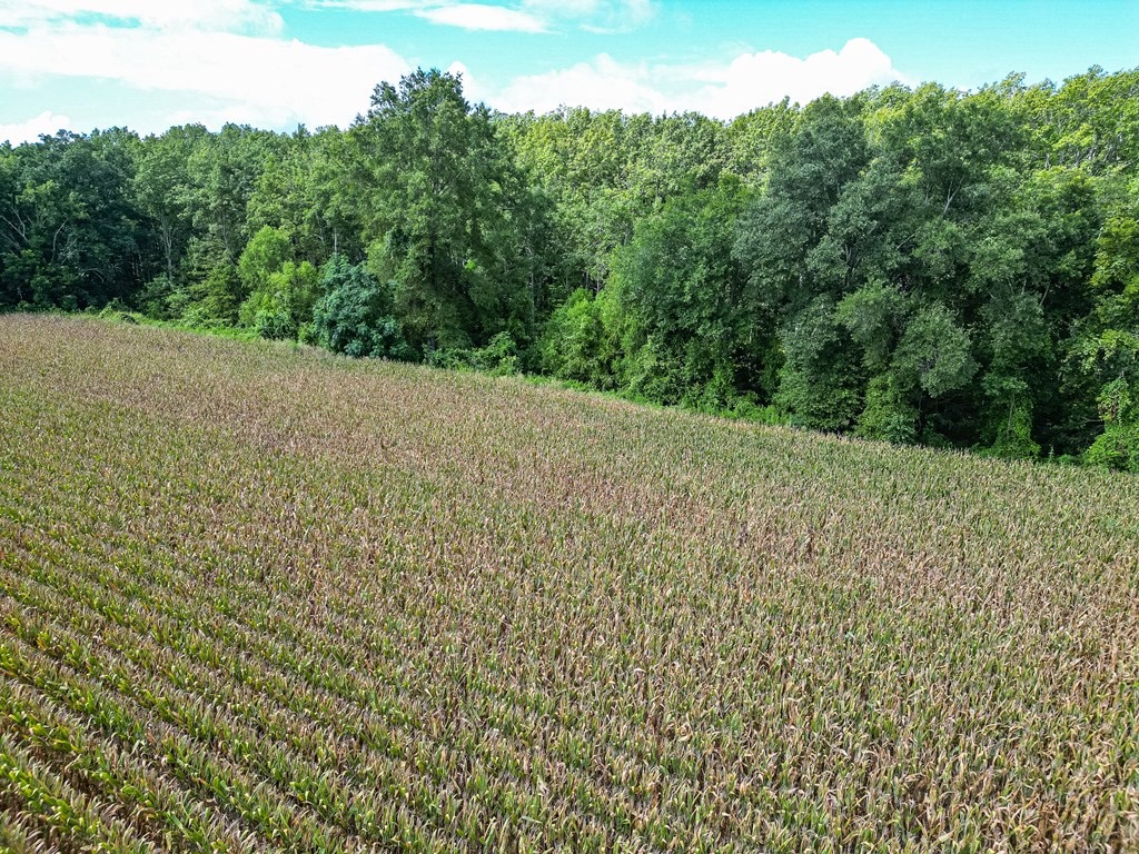Tchula MS Delta 97 Acres