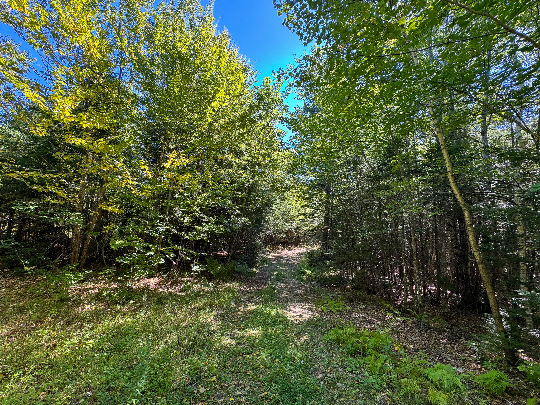 516 Acres Bordering State Wildlife Management Area