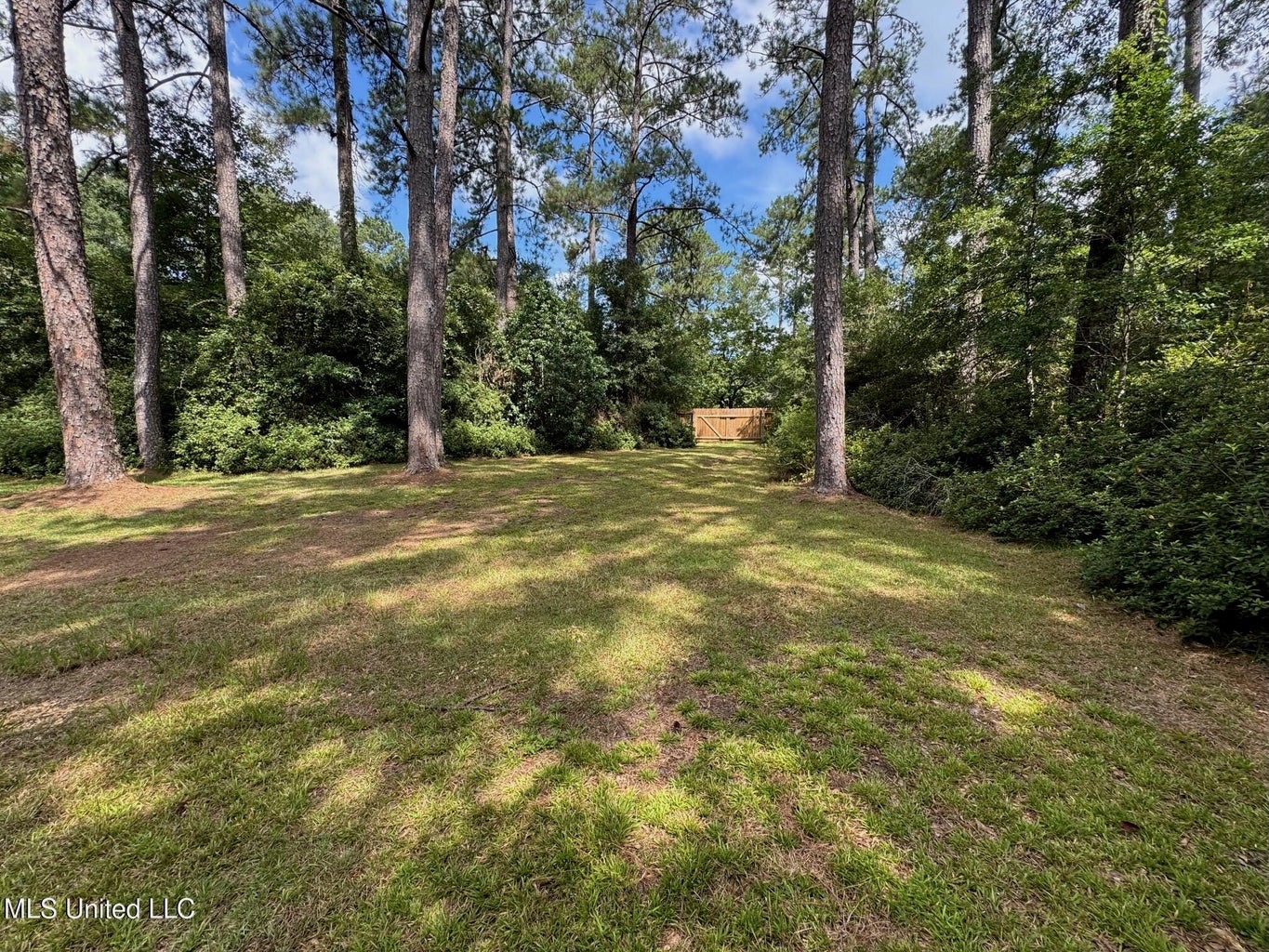 38 acres in Mississippi Near Louisiana State Line