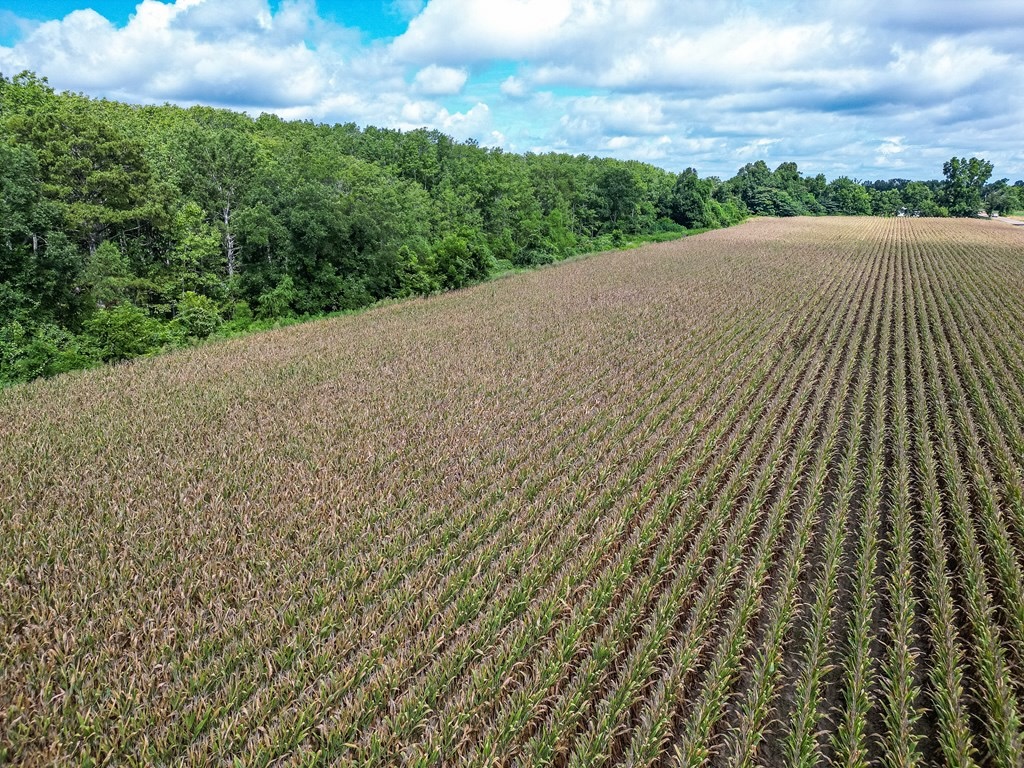 Tchula MS Delta 97 Acres
