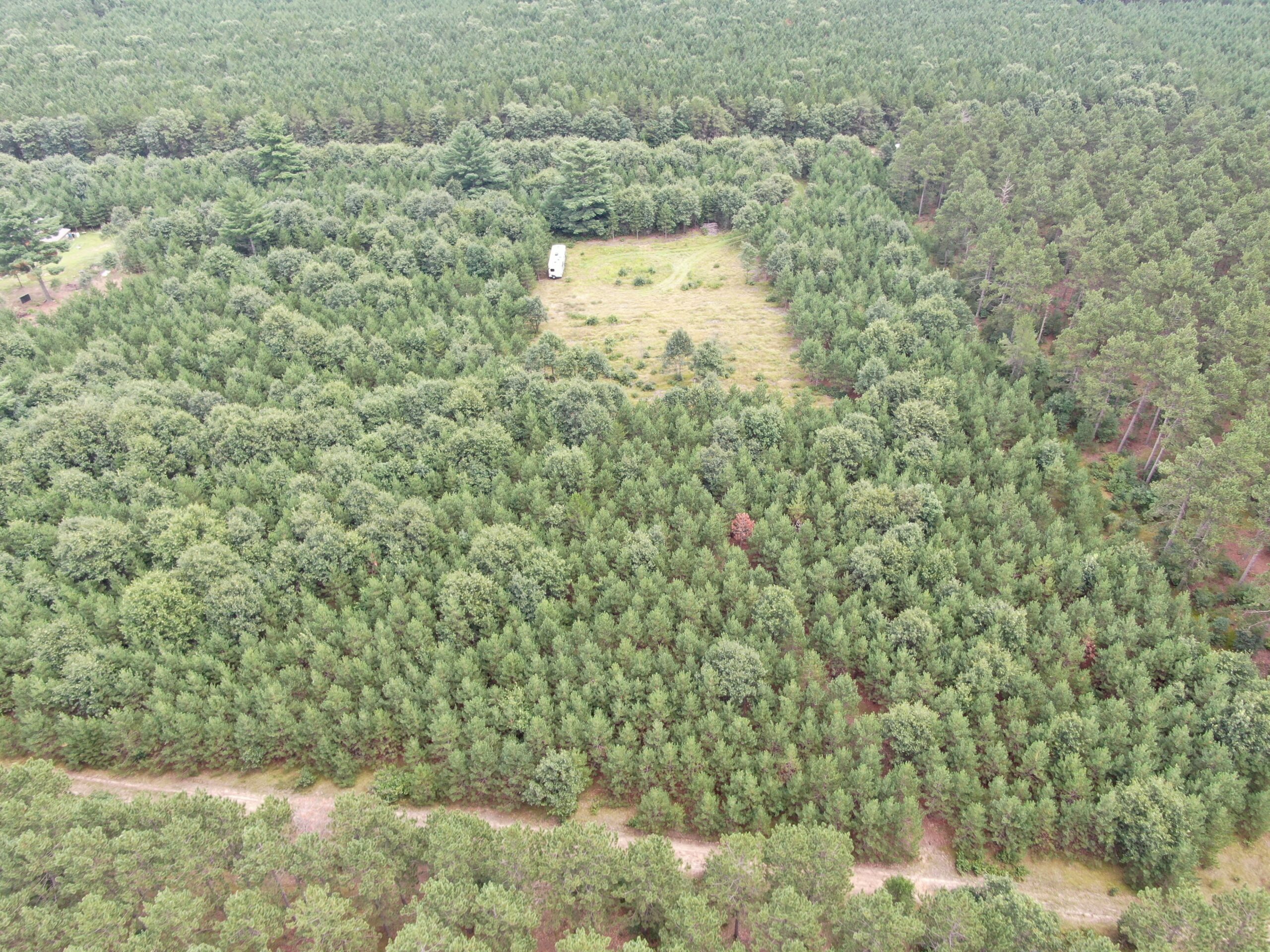 22.35+/- Wooded Acres in Adams County’s Town of Big Flats