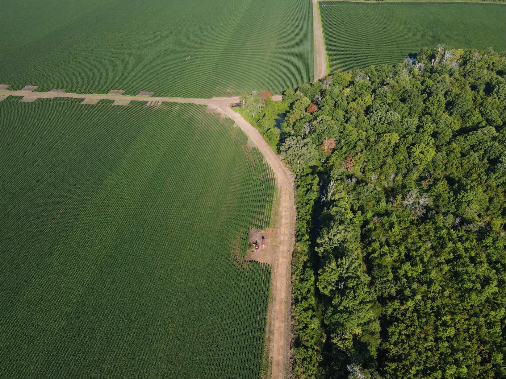 500 +/- Acres Precision Leveled and Irrigated Farmland