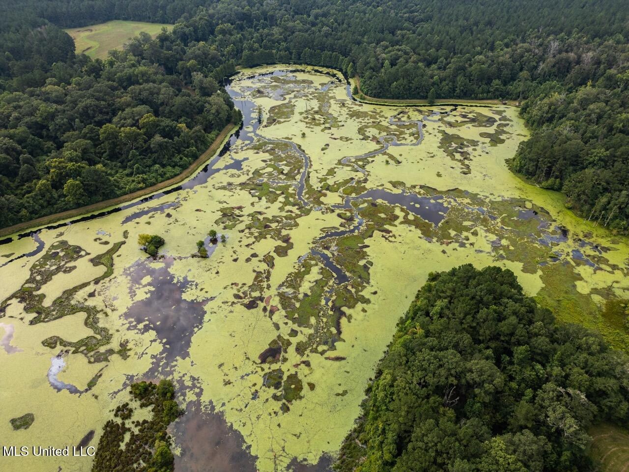 Petit Amite – Luxury Hunting Retreat in Amite County, MS