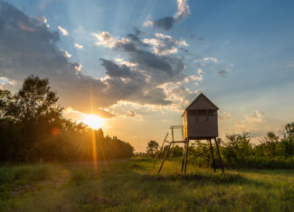 Premier Dekalb Texas Hunting Property with Red River Frontage