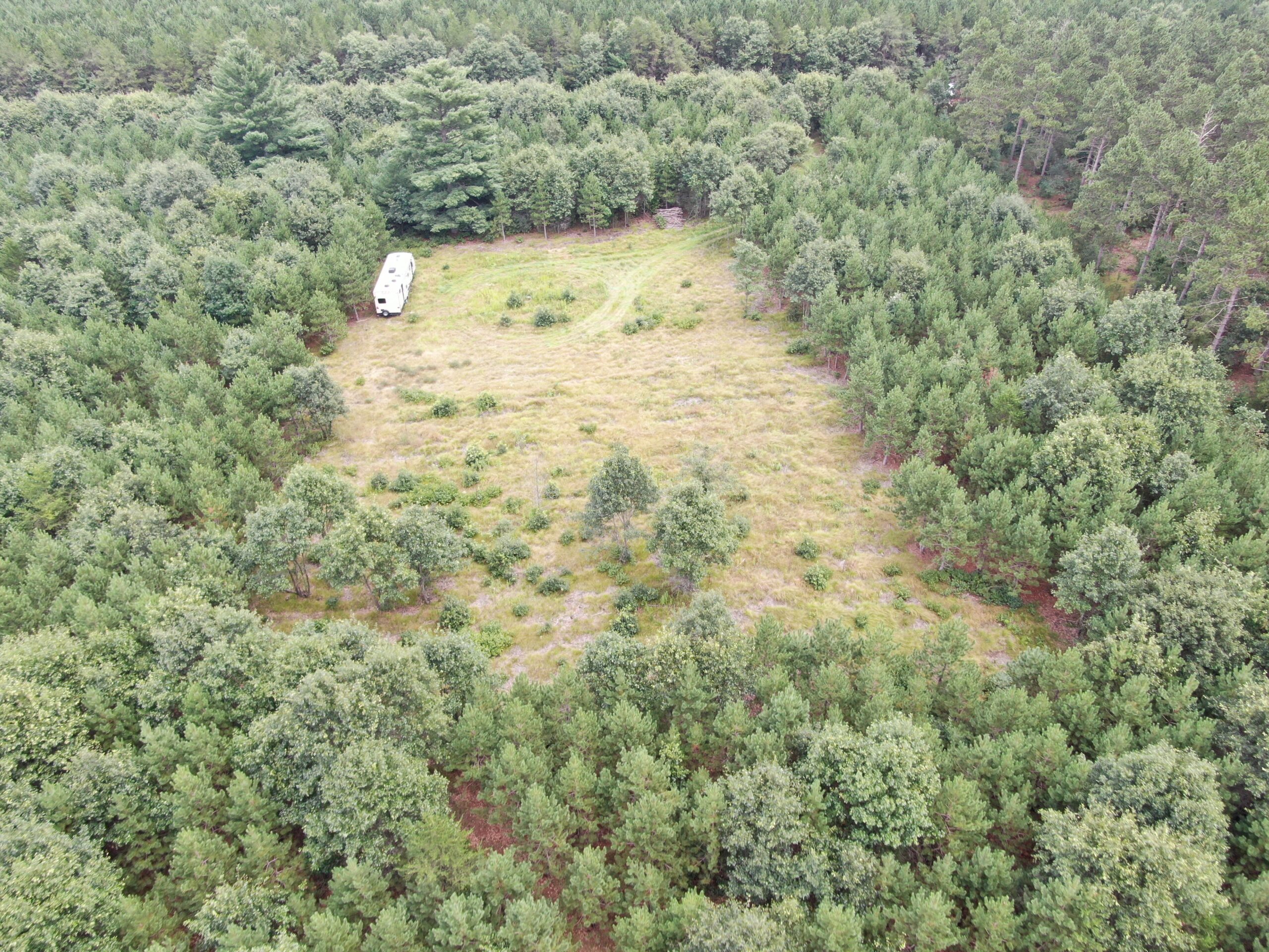22.35+/- Wooded Acres in Adams County’s Town of Big Flats