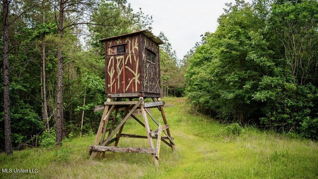 Catahoula Parish 290 Acres Hunting and Income Property
