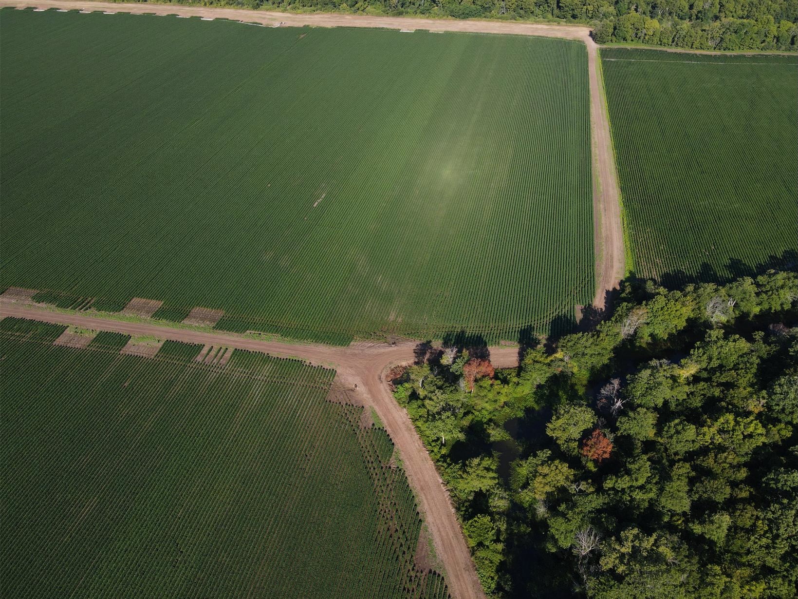 500 +/- Acres Precision Leveled and Irrigated Farmland