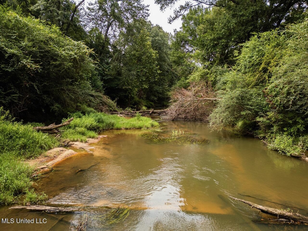 Petit Amite – Luxury Hunting Retreat in Amite County, MS