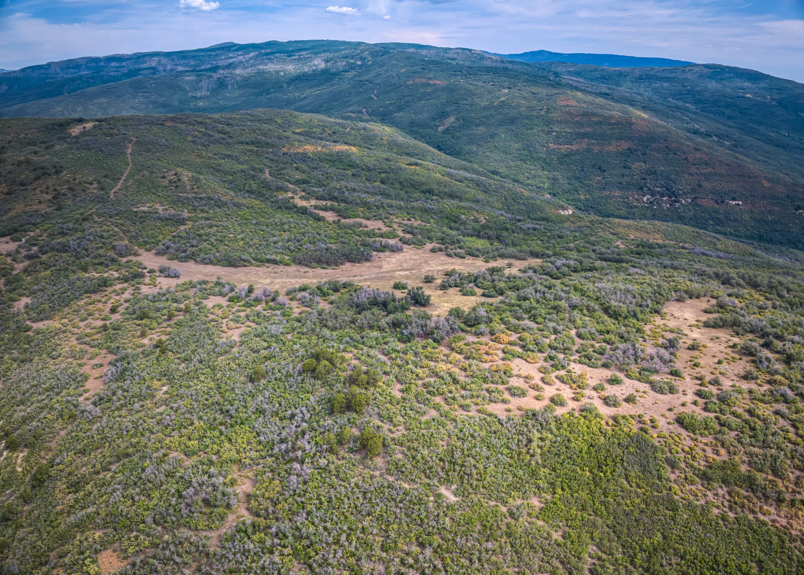 Whiskey Jug Ranch 465 Acre CO Hunting And Recreation Property With Cabin