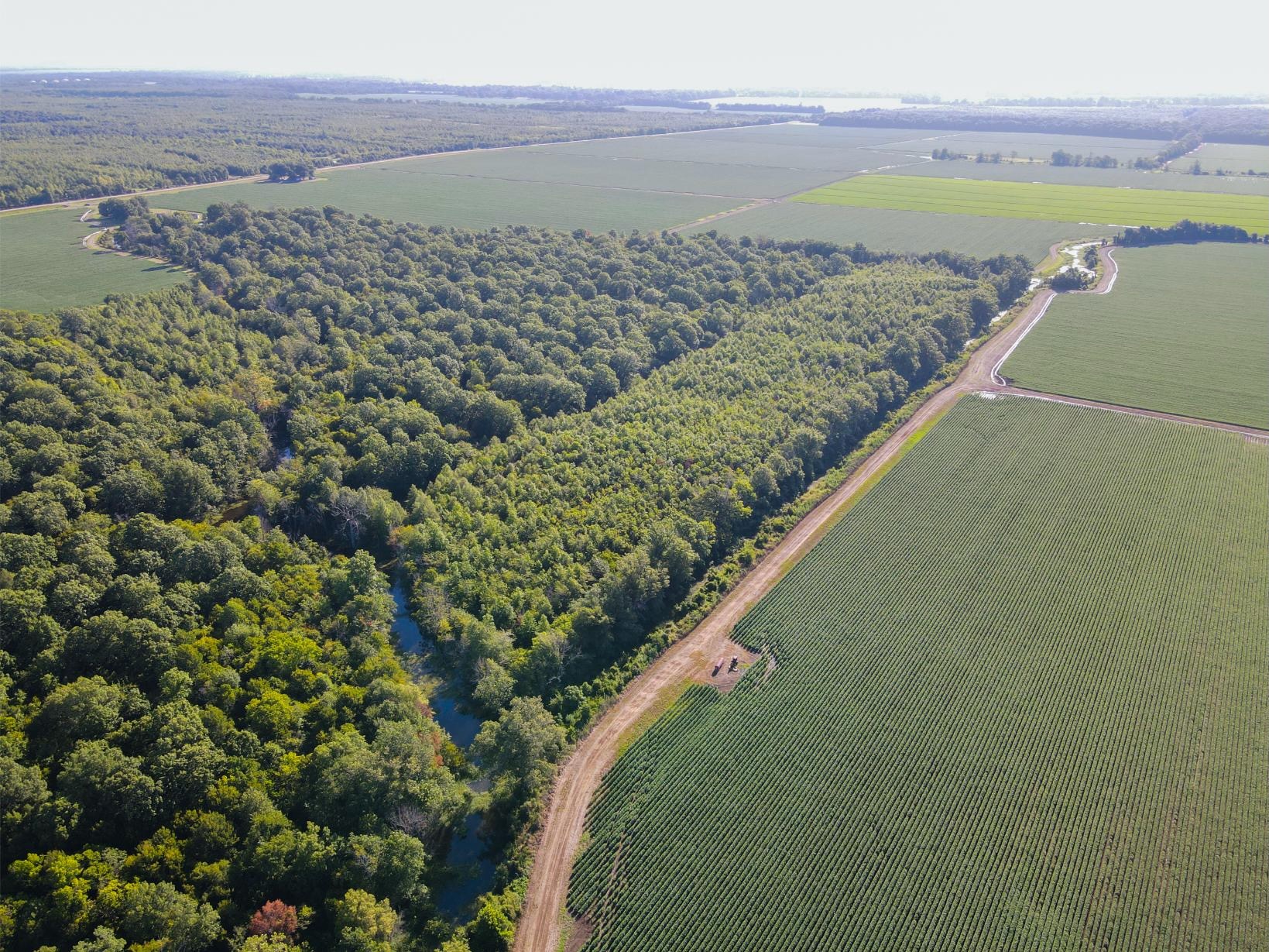 500 +/- Acres Precision Leveled and Irrigated Farmland