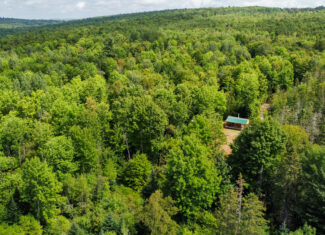 Northern Maine Recreational Land | 44 Acres