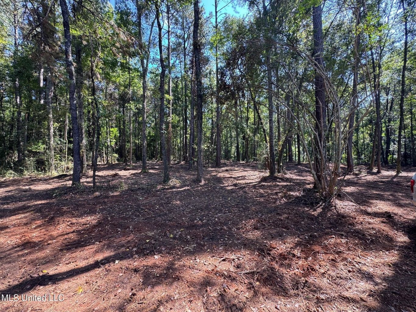 32 +/- Acres Near McComb, MS – Hunting, Timber, Homesite