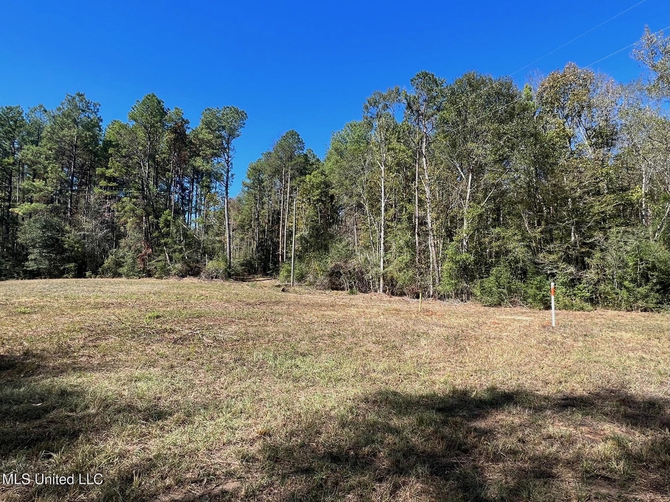 51.52 Acres Land for Sale Near McComb MS