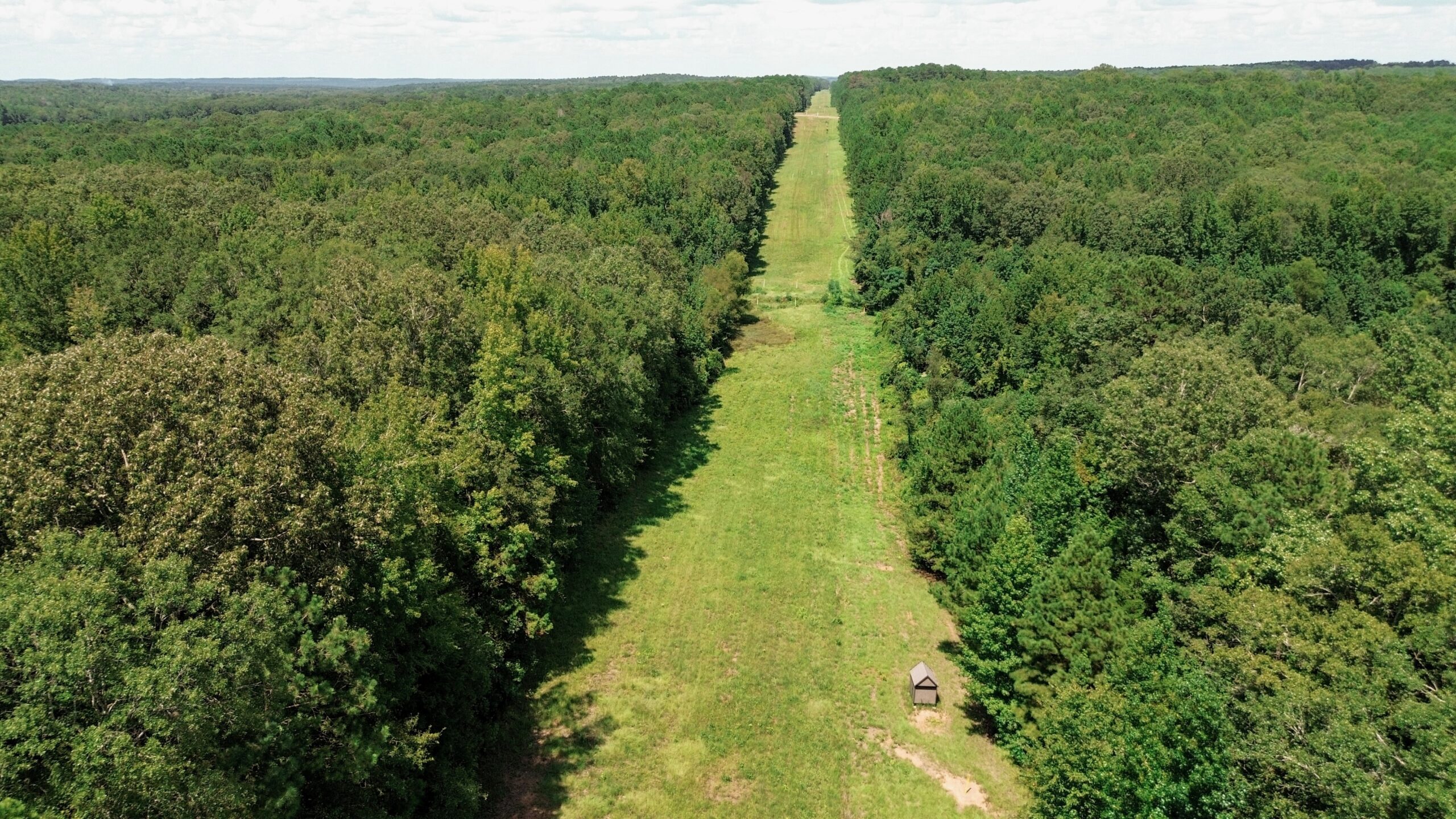 Lincoln Parish Timberland for Sale