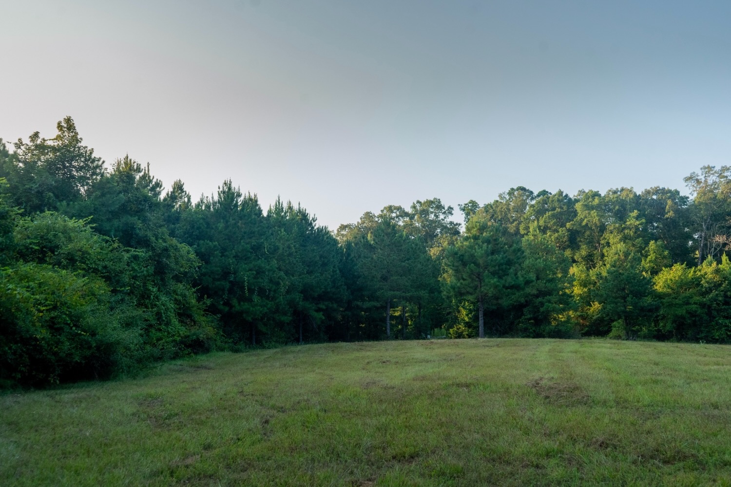 Claiborne Parish Timberland for Sale
