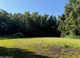 40 Acres with Country Home for Sale in Pike County MS