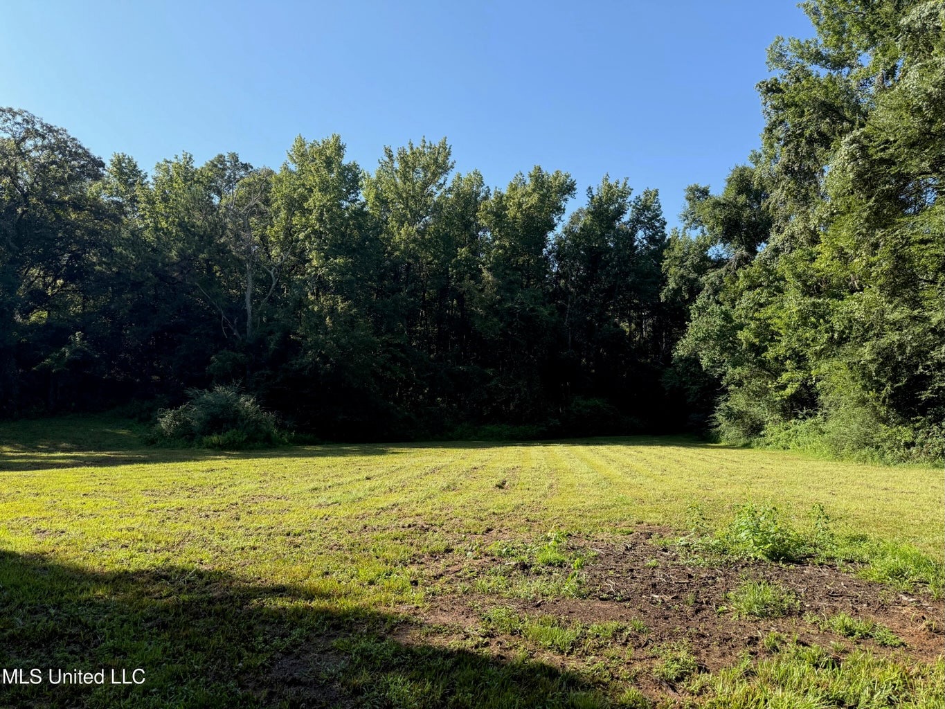 40 Acres with Country Home for Sale in Pike County MS