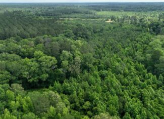 345+- Acres on Bogue Chitto River Summit MS