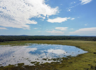 516 Acres Bordering State Wildlife Management Area