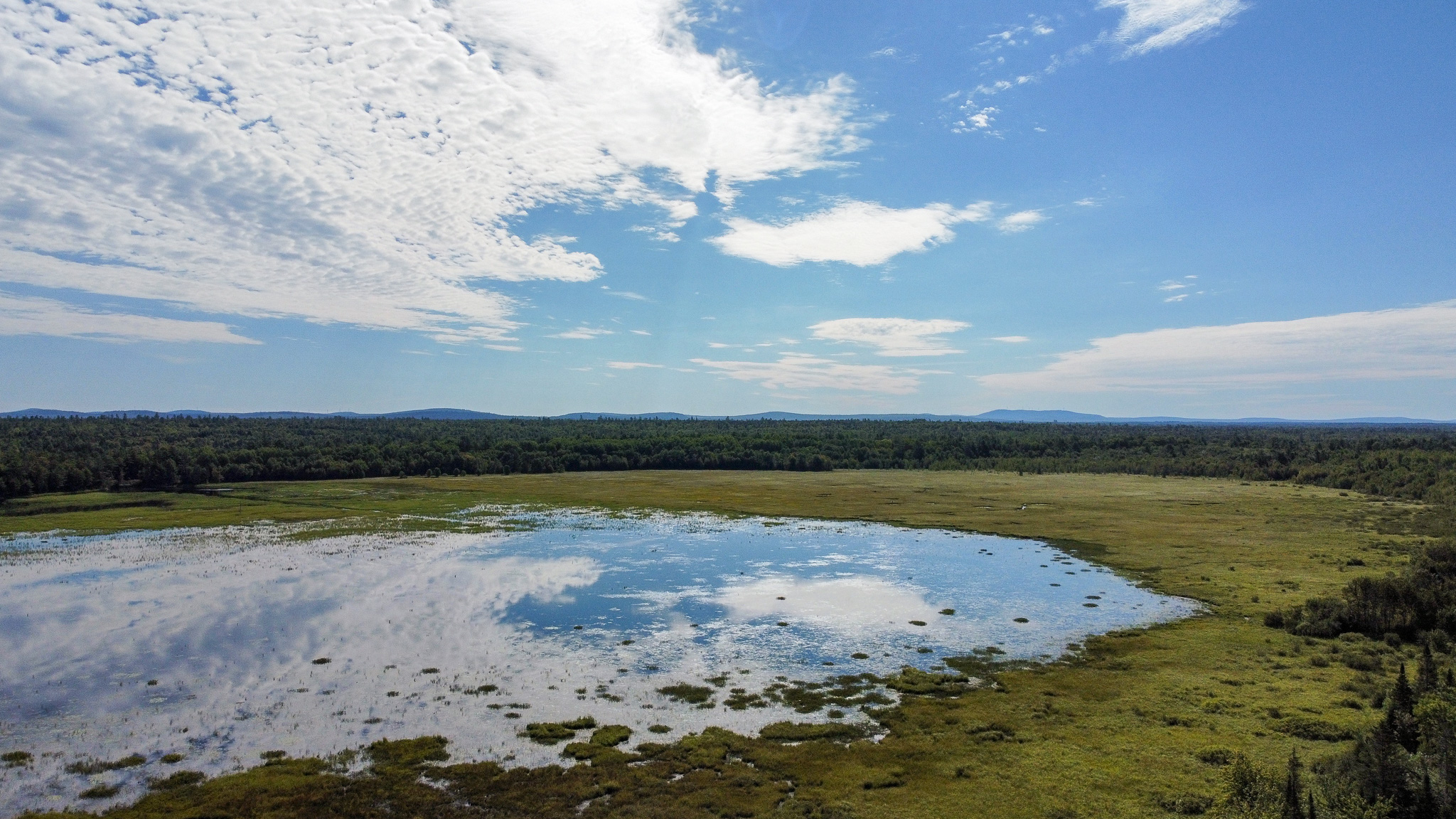 516 Acres Bordering State Wildlife Management Area