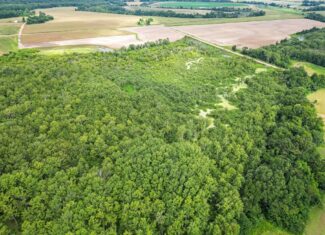 Tchula MS Delta 97 Acres