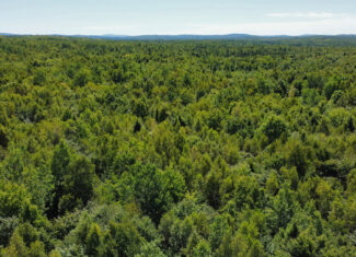 Private 25-Acre Woodlot with Trails & Recreation Access